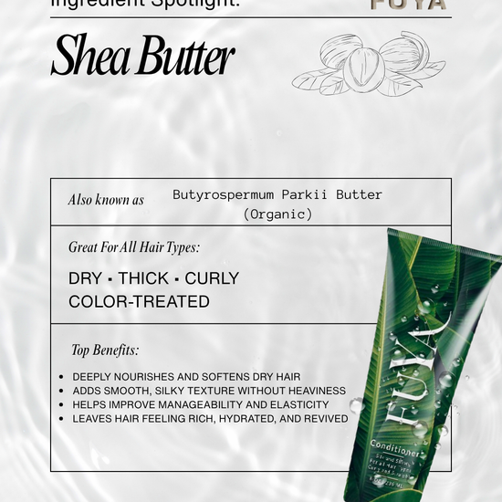 Ingredient spotlight: Shea Butter in FUYA Conditioner for hydration and frizz control