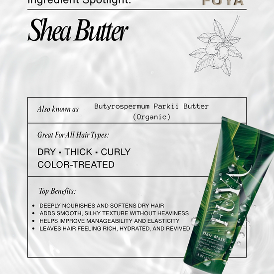 Ingredient spotlight: Shea Butter in FUYA Hair Mask for moisture and frizz control