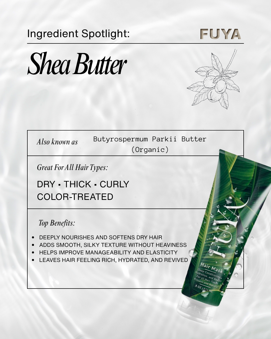 Ingredient spotlight: Shea Butter in FUYA Hair Mask for moisture and frizz control