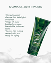 Why FUYA Shampoo works: gentle daily cleanse, soft lather, balanced feel, rinses clean